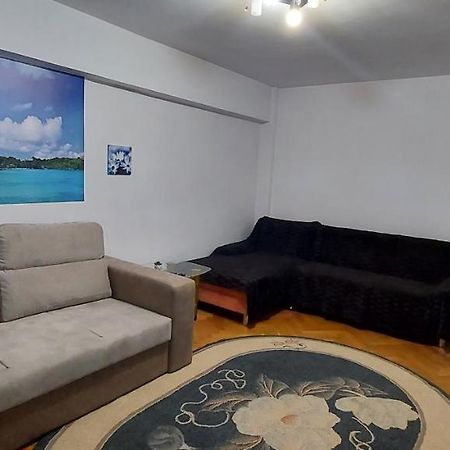 Appartamento Bucovina Confort Apartament Suceava Esterno foto