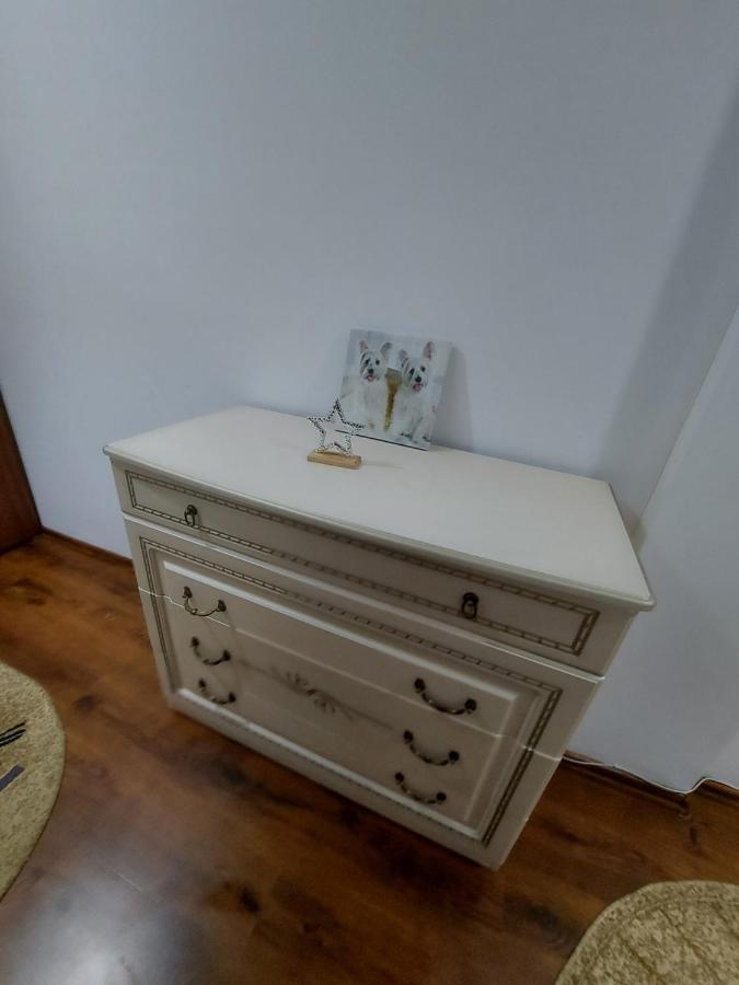 Appartamento Bucovina Confort Apartament Suceava Esterno foto