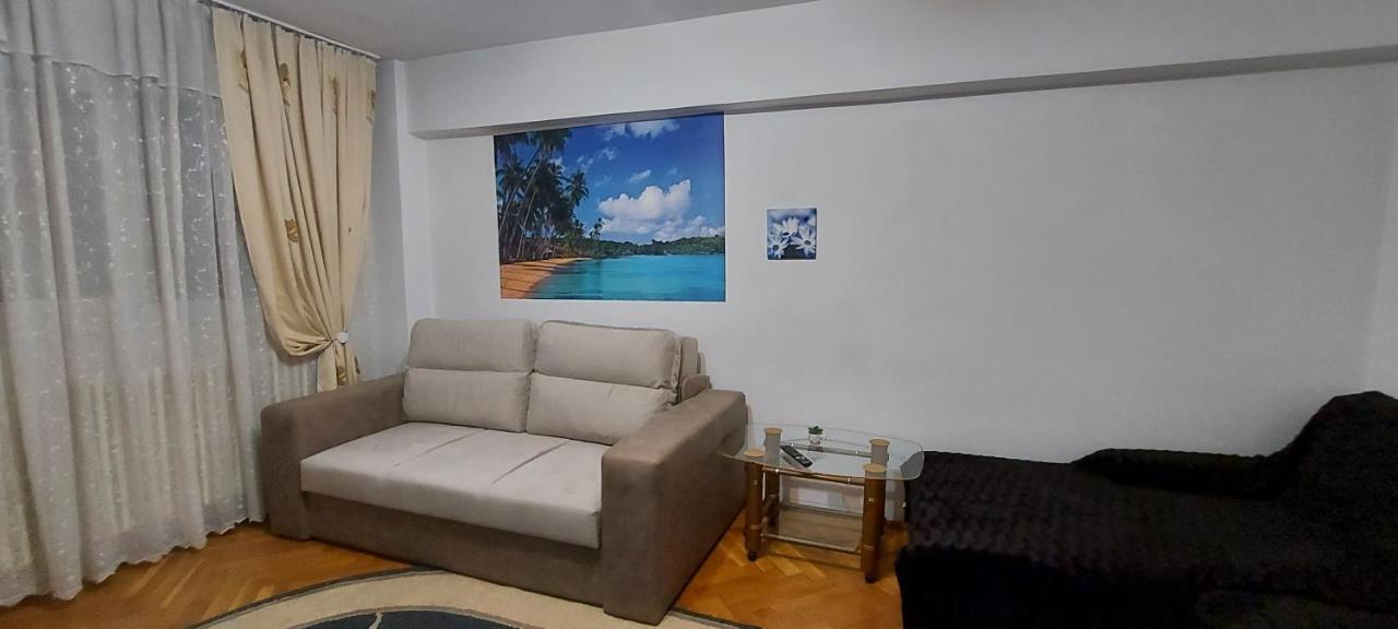 Appartamento Bucovina Confort Apartament Suceava Esterno foto