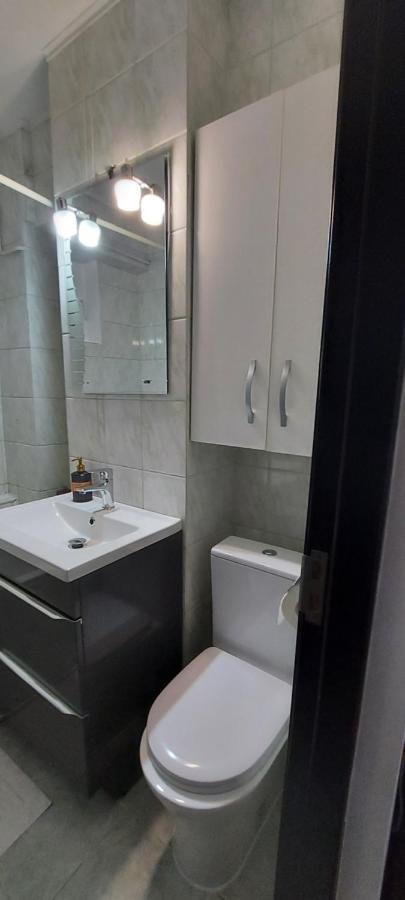 Appartamento Bucovina Confort Apartament Suceava Esterno foto